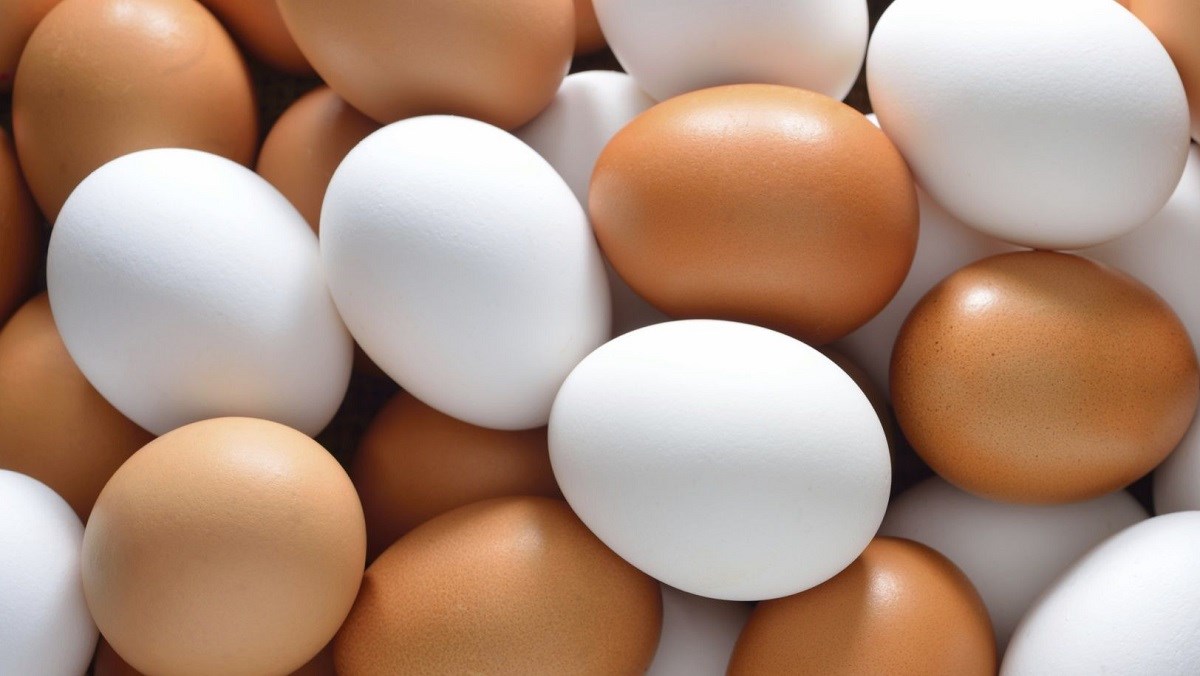 Sử dụng trứng sao cho đúng cách và tốt cho sức khỏe?